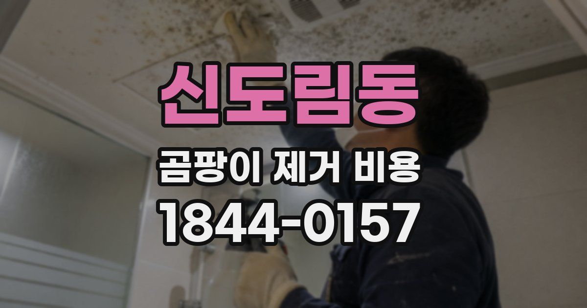 신도림동 곰팡이 제거 비용