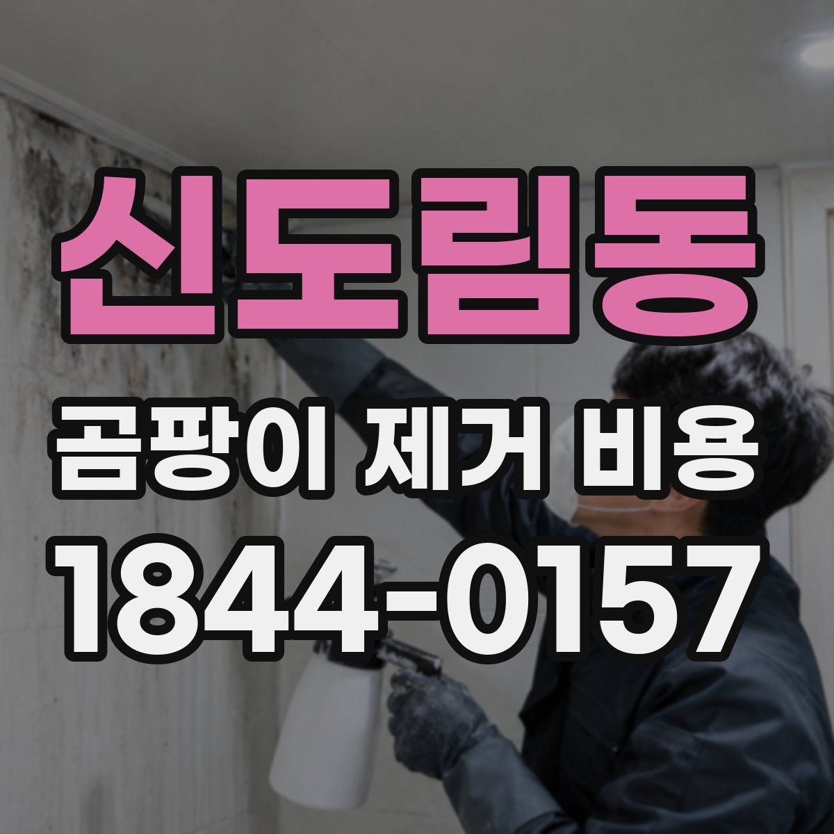 신도림동 곰팡이 제거 비용
