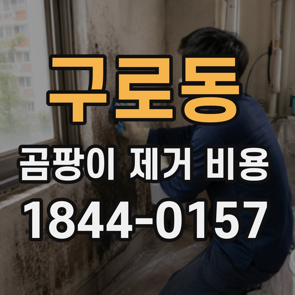 구로동 곰팡이 제거 비용