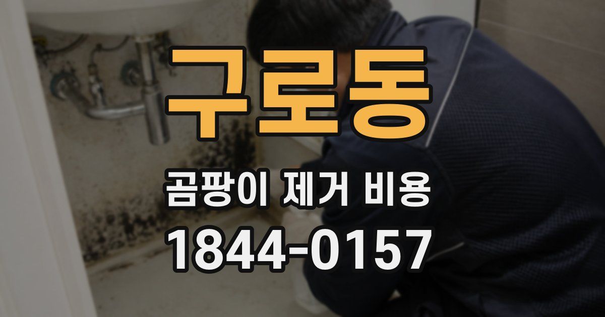 구로동 곰팡이 제거 비용
