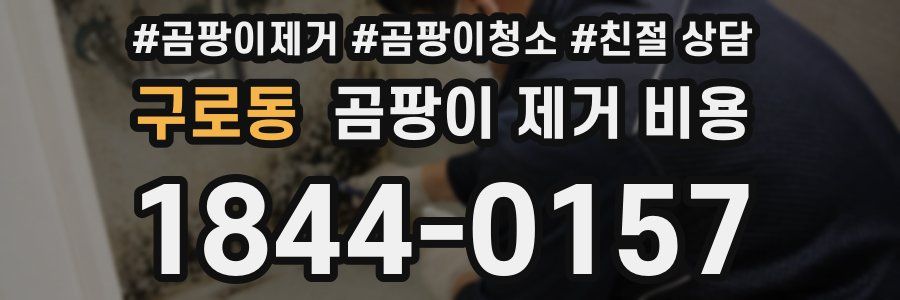 구로동 곰팡이 제거 비용