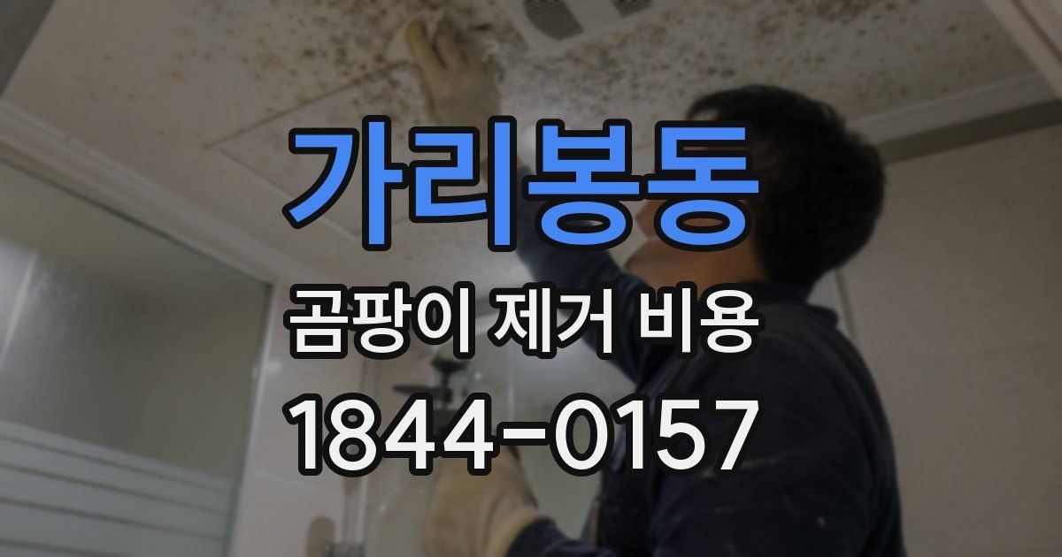 가리봉동 곰팡이 제거 비용