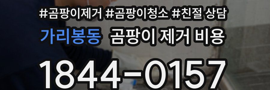 가리봉동 곰팡이 제거 비용