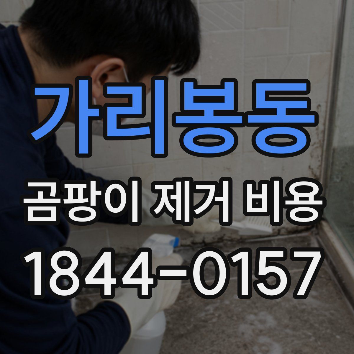 가리봉동 곰팡이 제거 비용