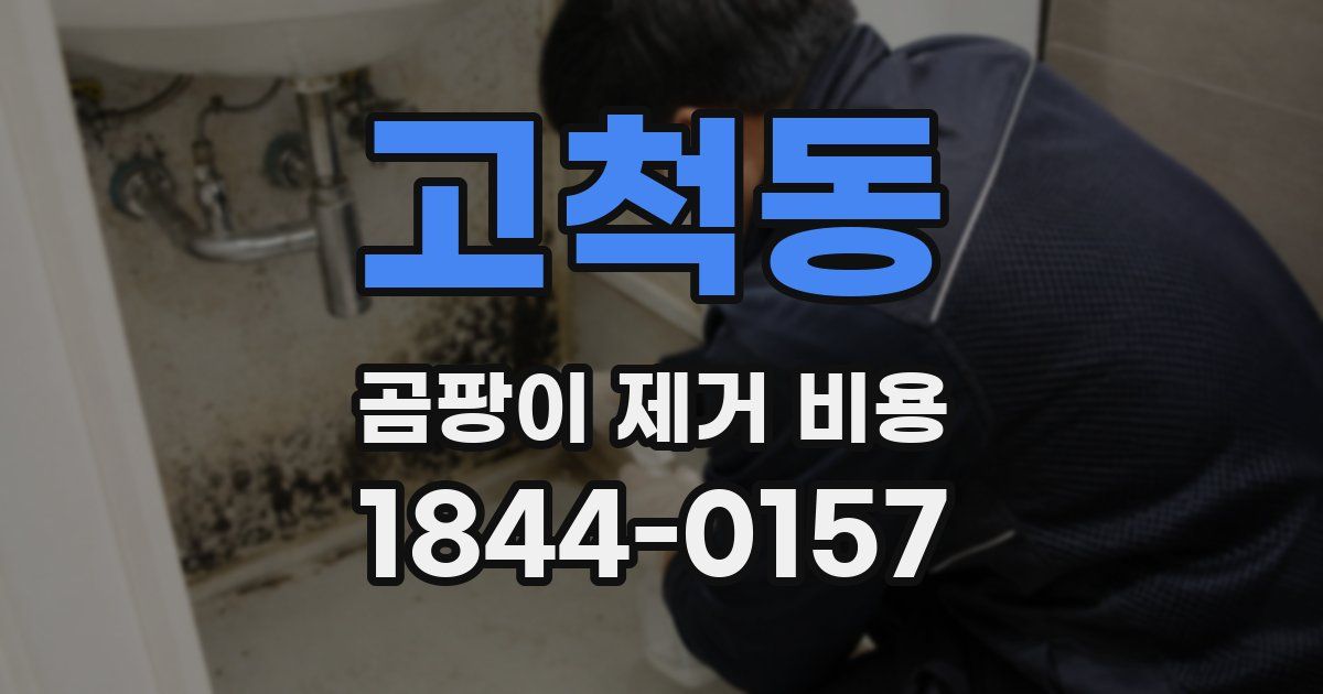 고척동 곰팡이 제거 비용