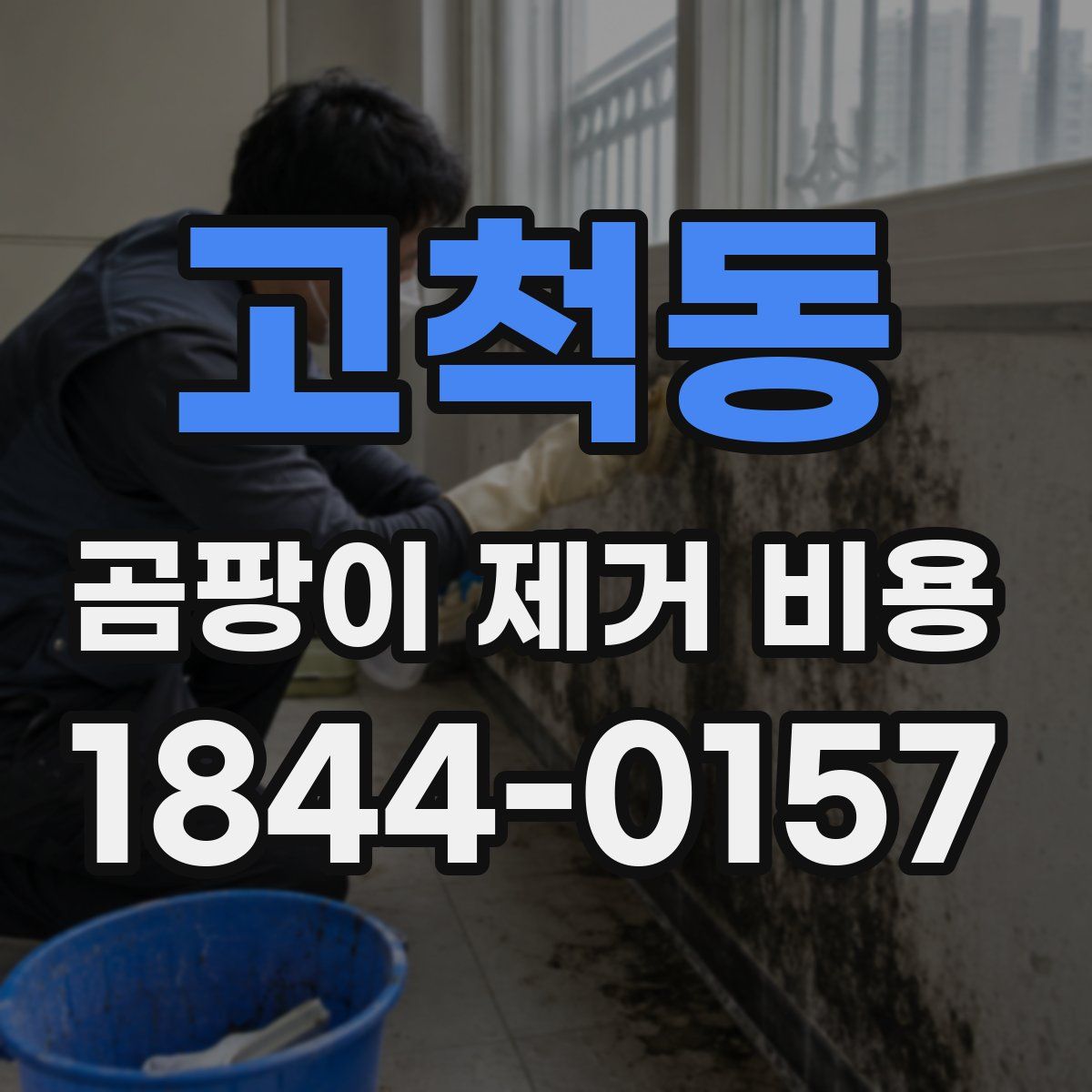 고척동 곰팡이 제거 비용