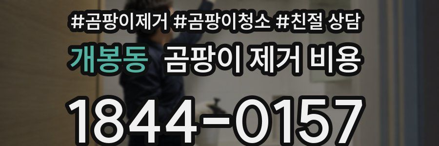 개봉동 곰팡이 제거 비용