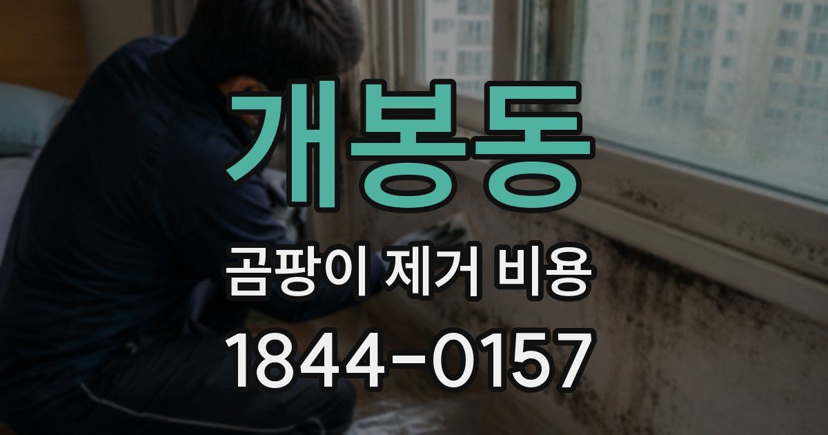 개봉동 곰팡이 제거 비용