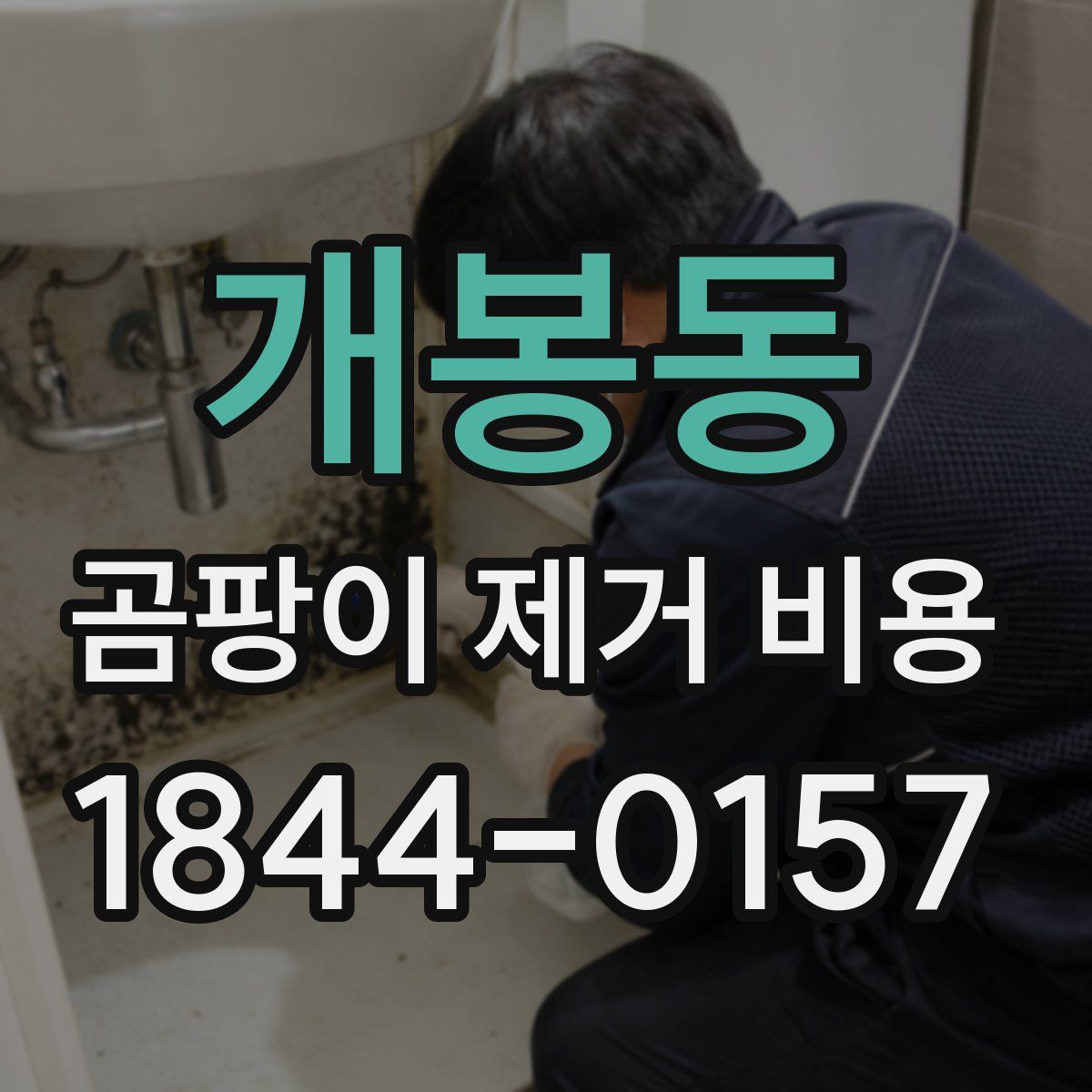 개봉동 곰팡이 제거 비용