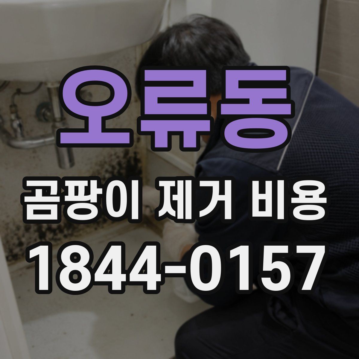 오류동 곰팡이 제거 비용 재시공을 피하려면 어떤 점을 볼까