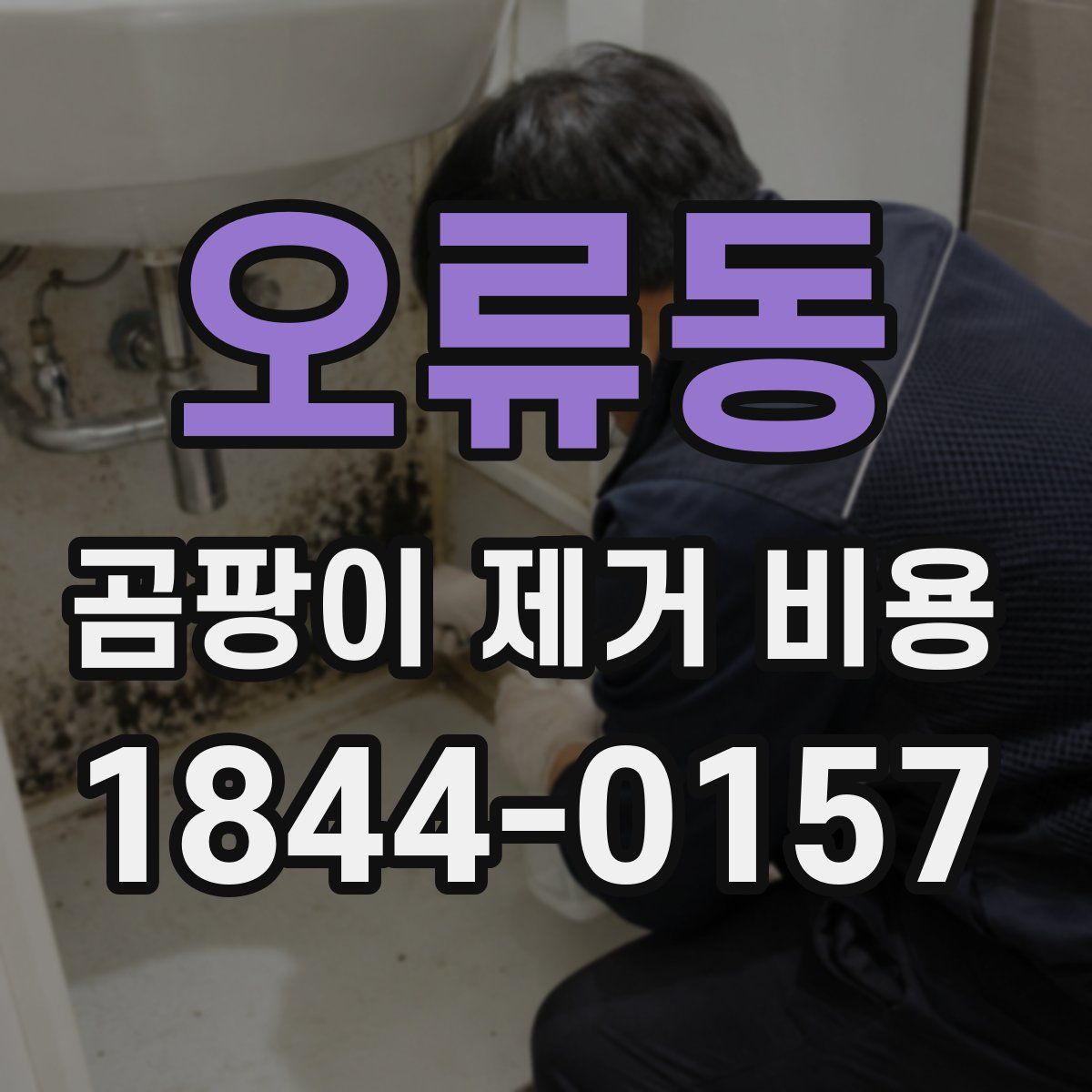 오류동 곰팡이 제거 비용