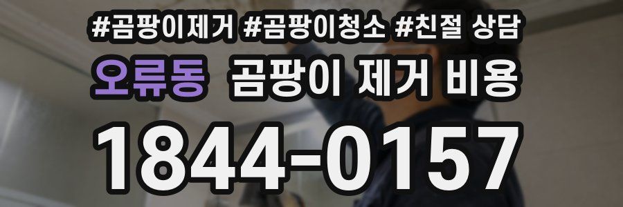오류동 곰팡이 제거 비용