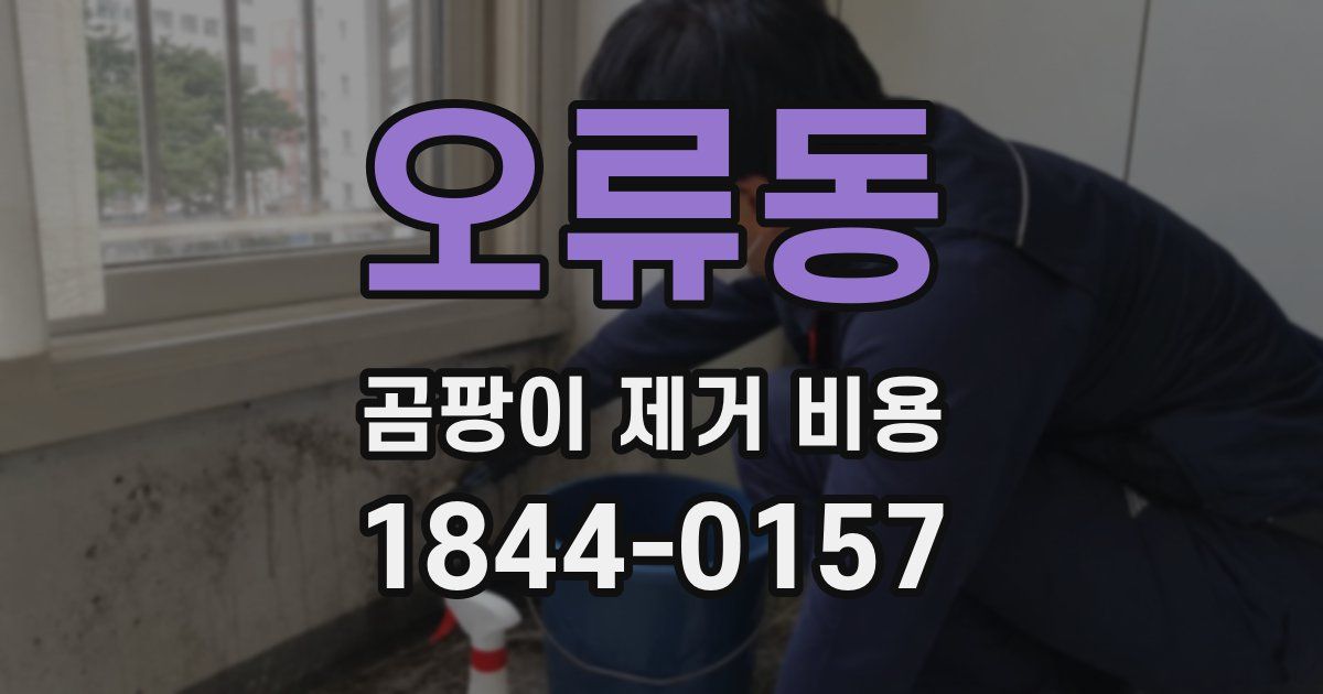 오류동 곰팡이 제거 비용