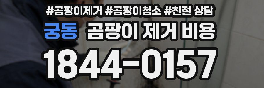 궁동 곰팡이 제거 비용