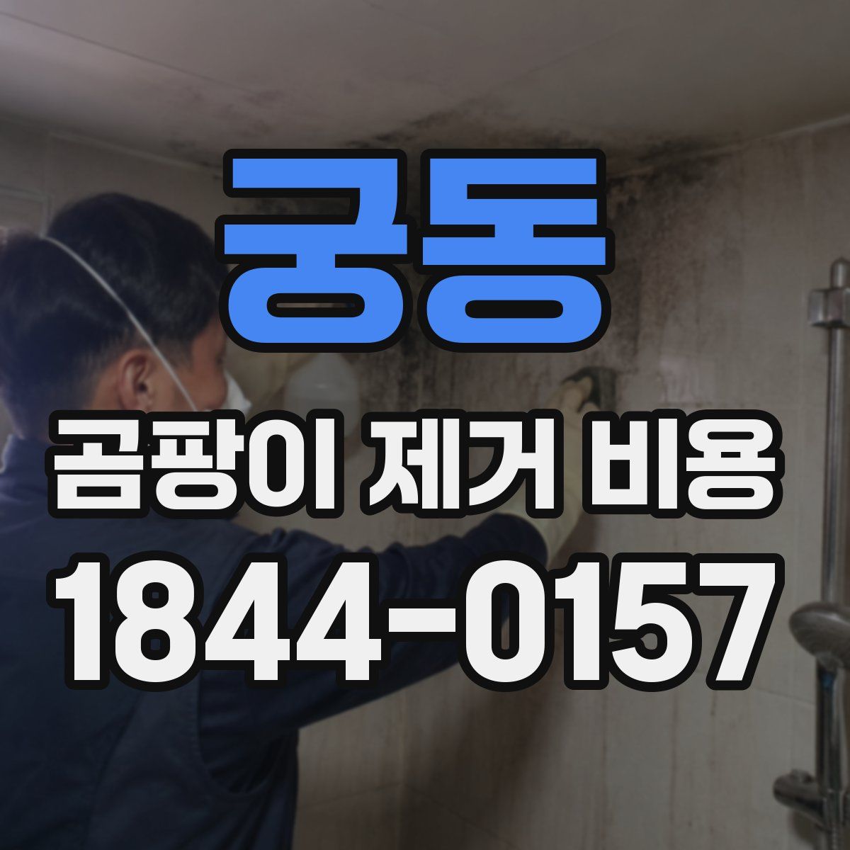 궁동 곰팡이 제거 비용