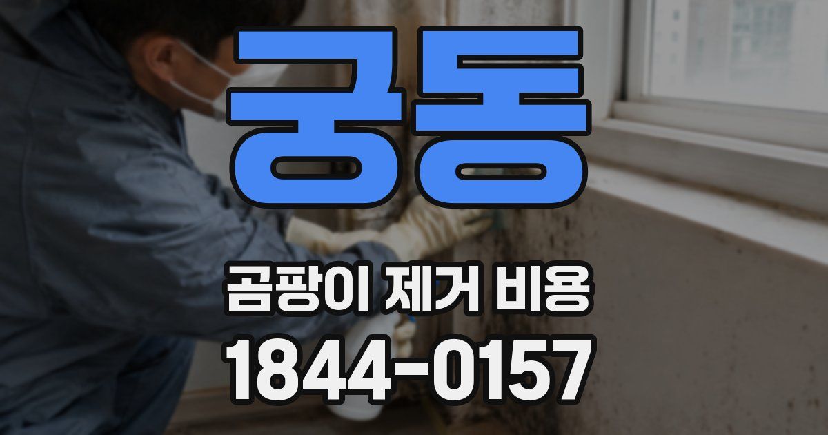 궁동 곰팡이 제거 비용