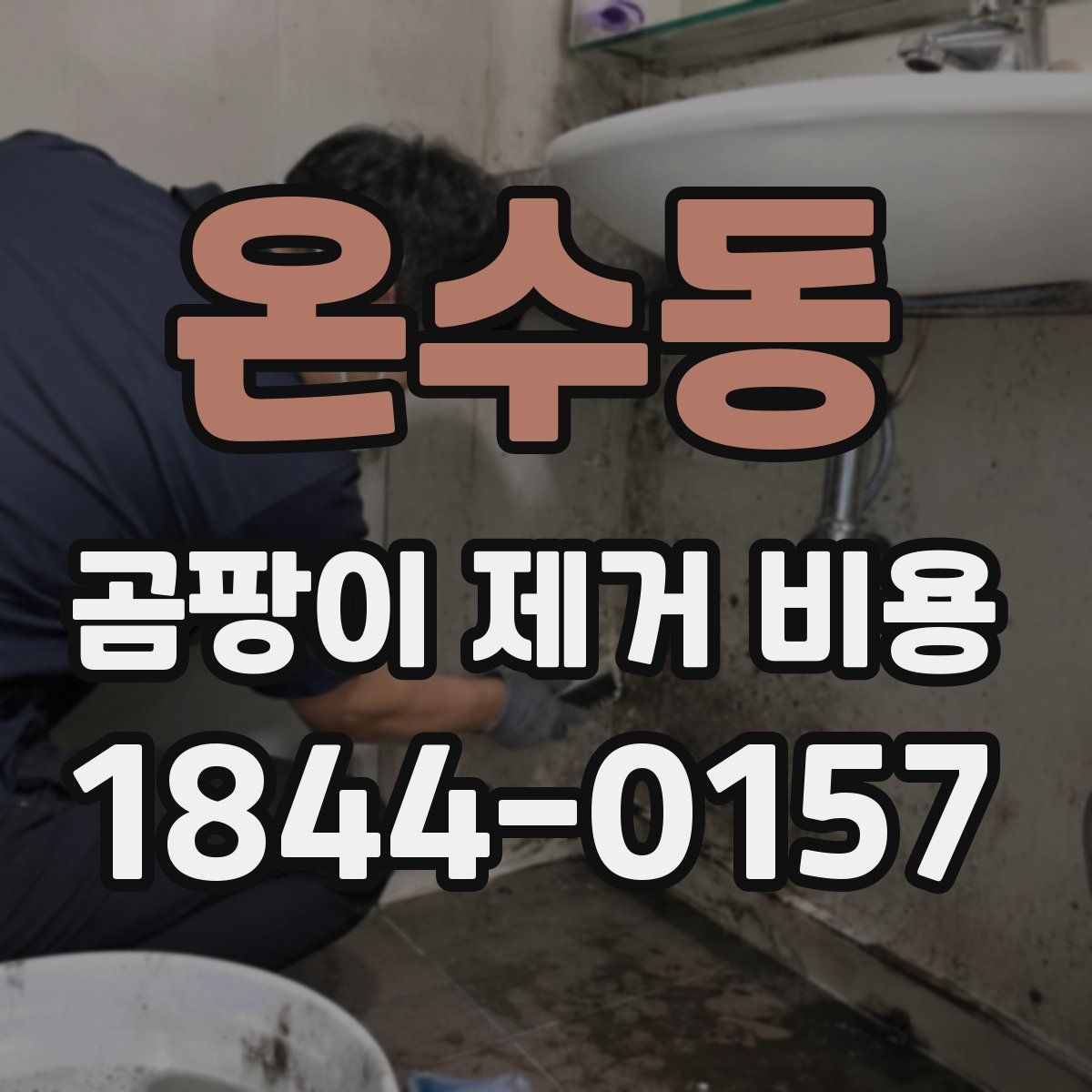 온수동 곰팡이 제거 비용