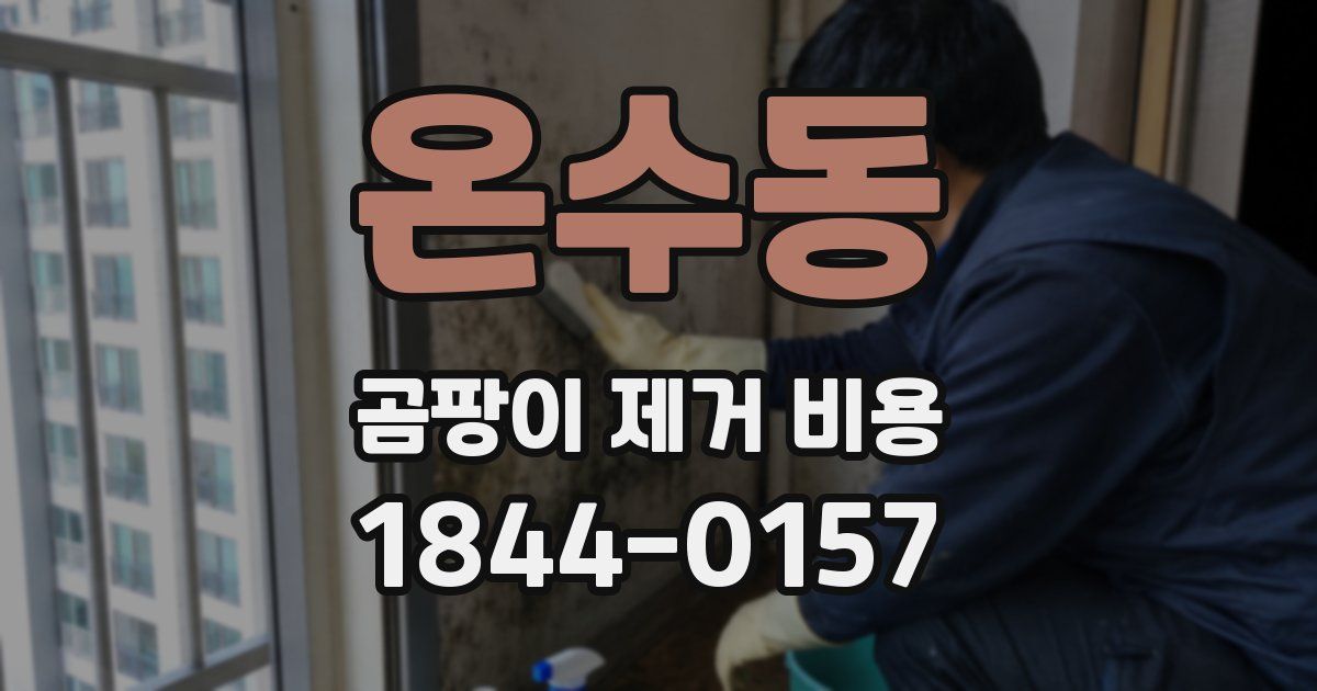 온수동 곰팡이 제거 비용