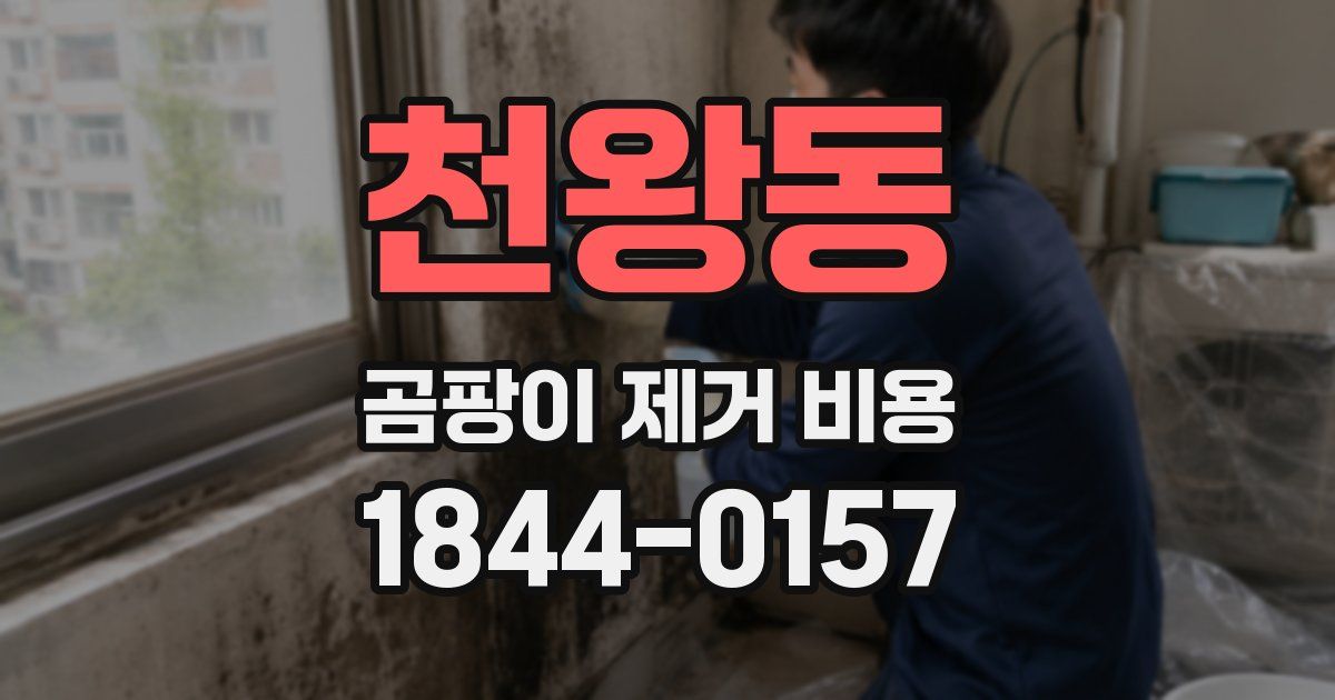 천왕동 곰팡이 제거 비용