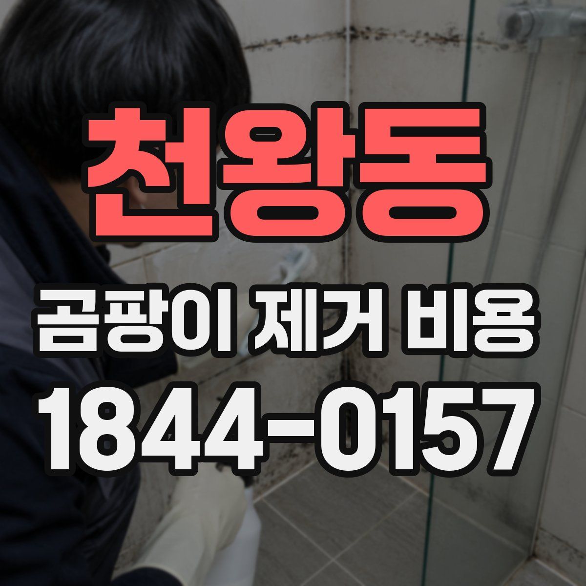 천왕동 곰팡이 제거 비용