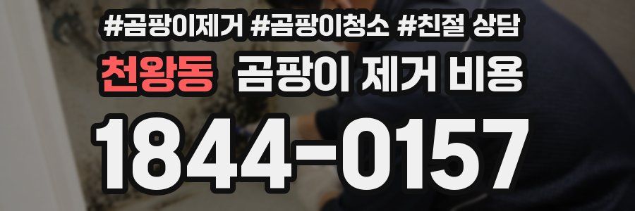 천왕동 곰팡이 제거 비용