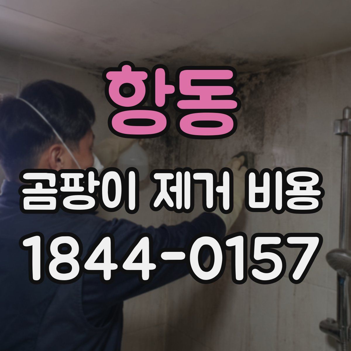 항동 곰팡이 제거 비용