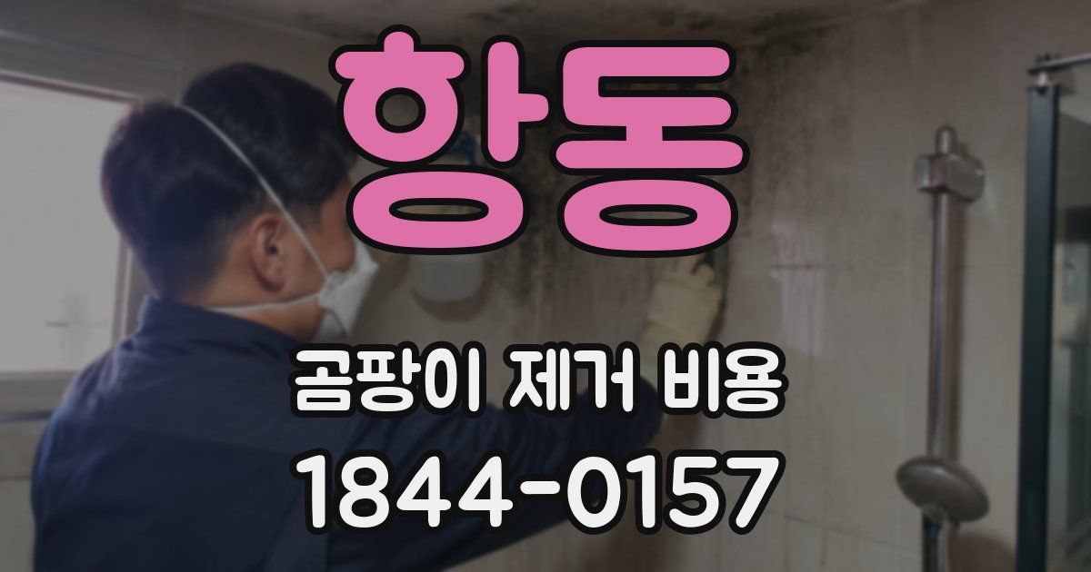 항동 곰팡이 제거 비용