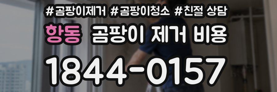 항동 곰팡이 제거 비용