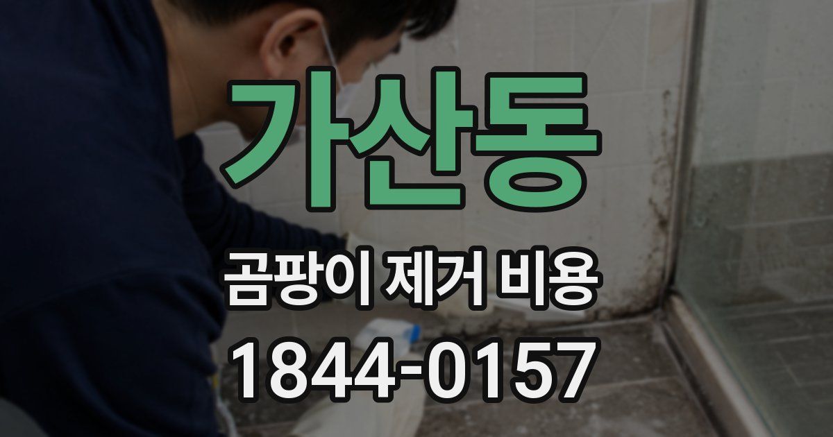 가산동 곰팡이 제거 비용