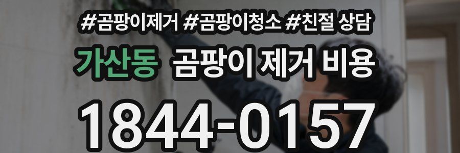 가산동 곰팡이 제거 비용