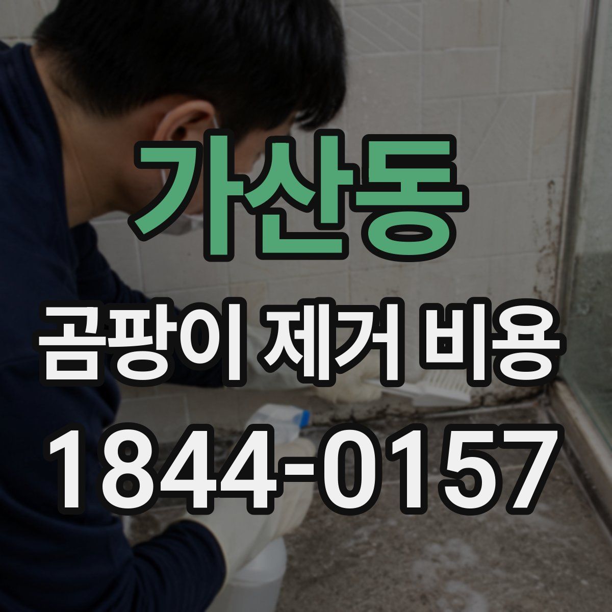 가산동 곰팡이 제거 비용