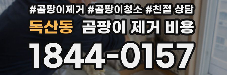 독산동 곰팡이 제거 비용