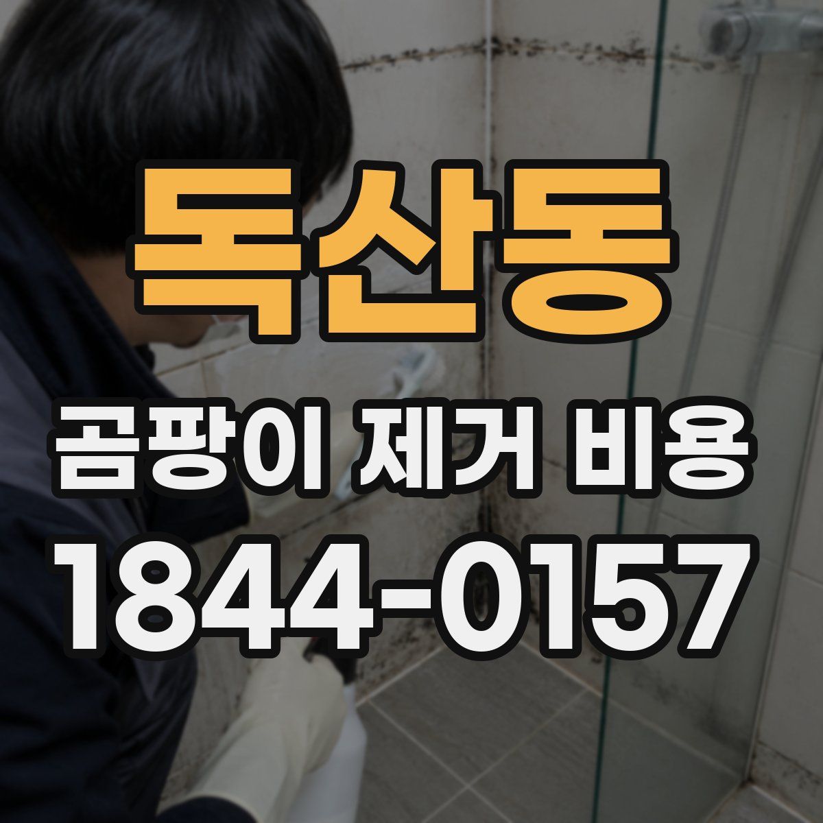 독산동 곰팡이 제거 비용