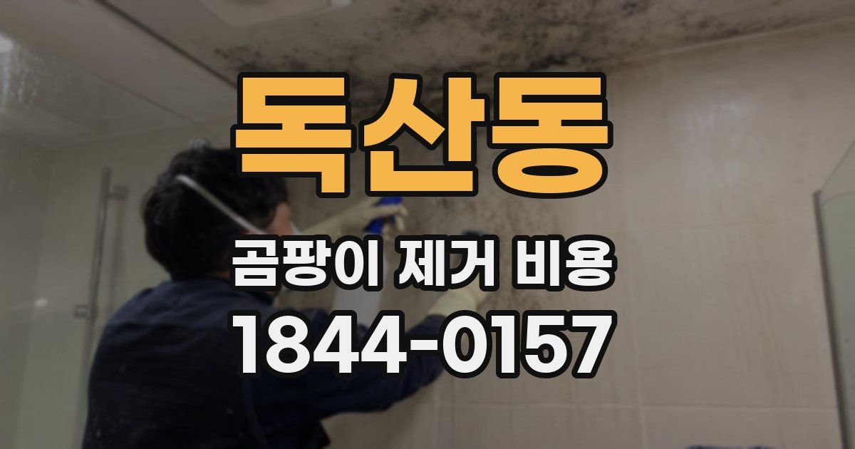 독산동 곰팡이 제거 비용