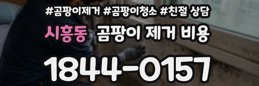 시흥동 곰팡이 제거 비용
