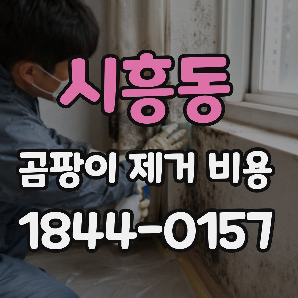 시흥동 곰팡이 제거 비용