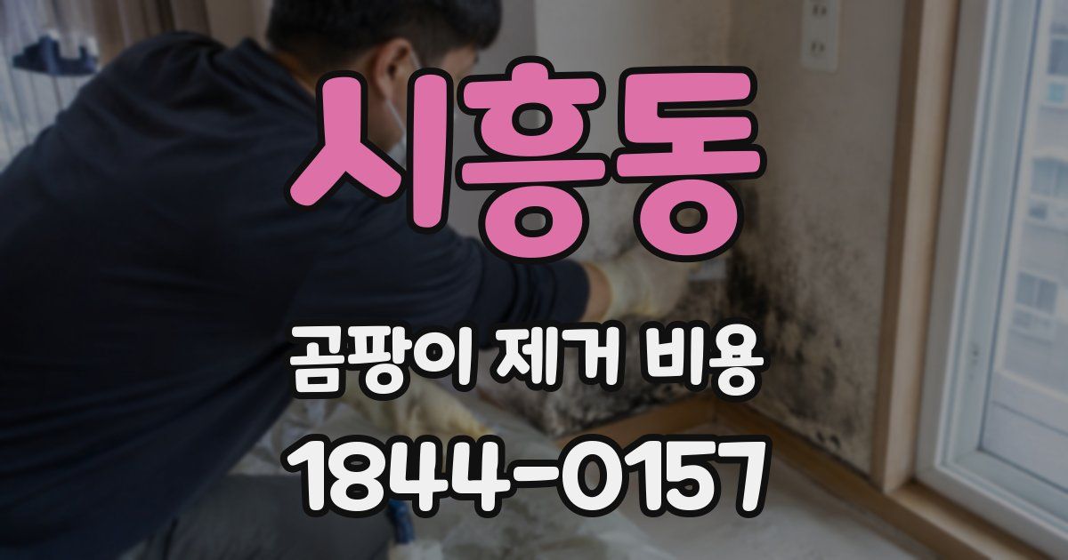 시흥동 곰팡이 제거 비용