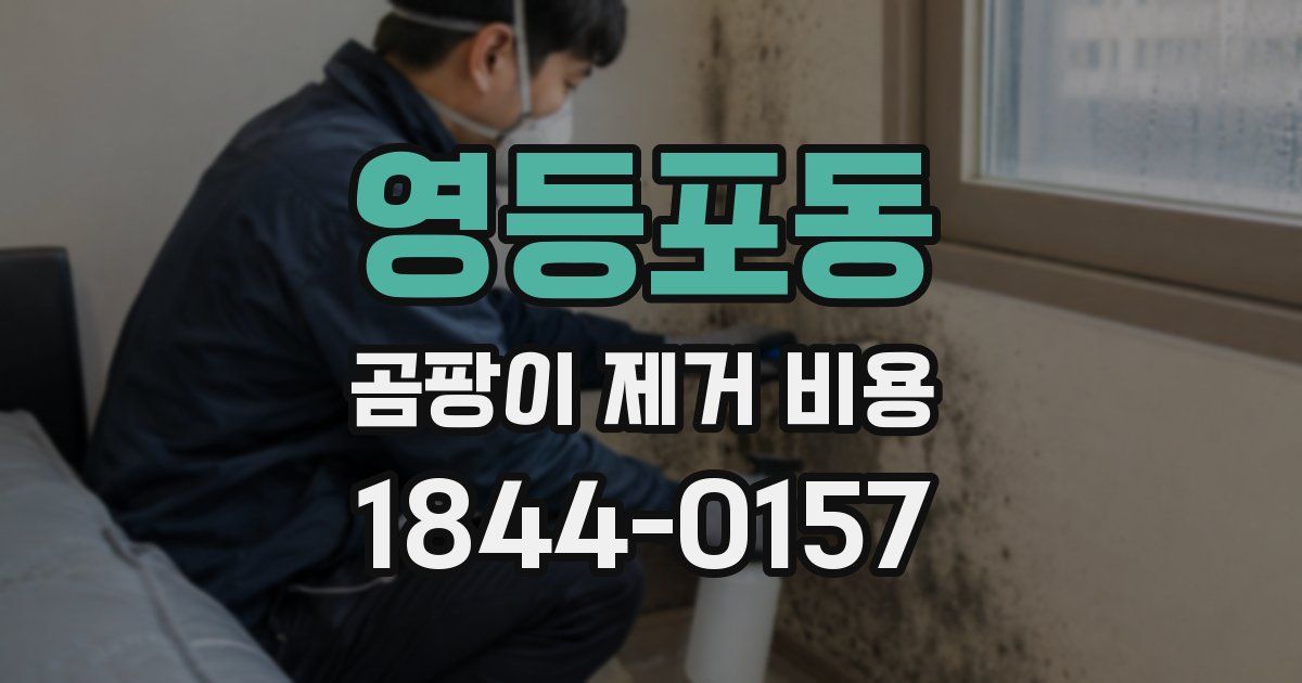 영등포동 곰팡이 제거 비용