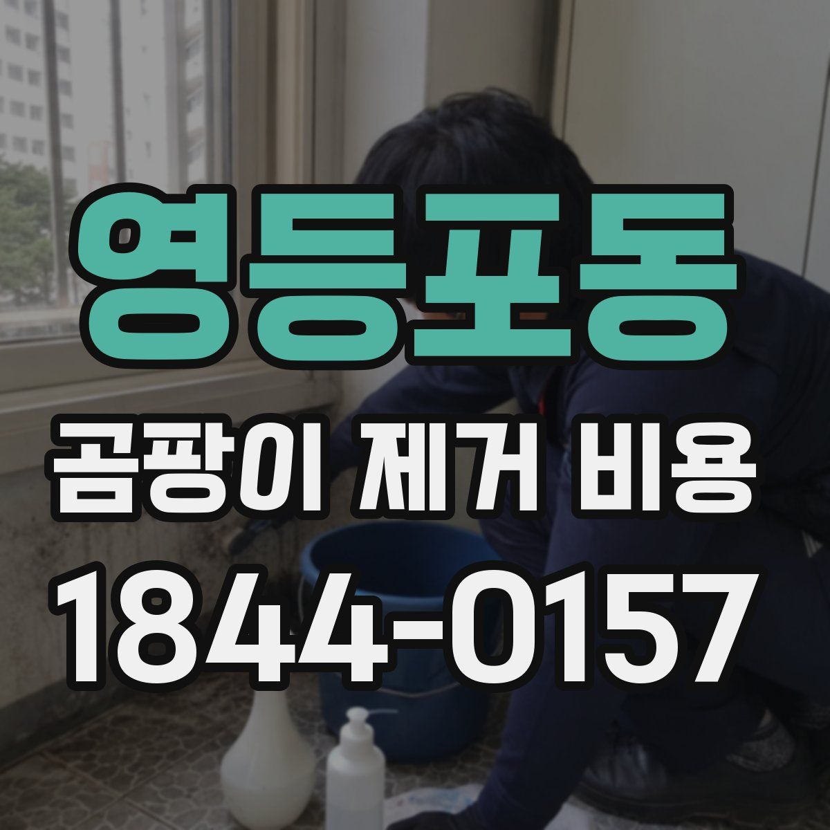 영등포동 곰팡이 제거 비용