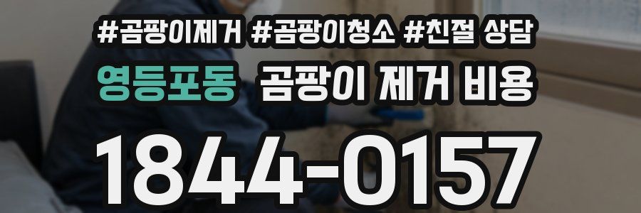 영등포동 곰팡이 제거 비용
