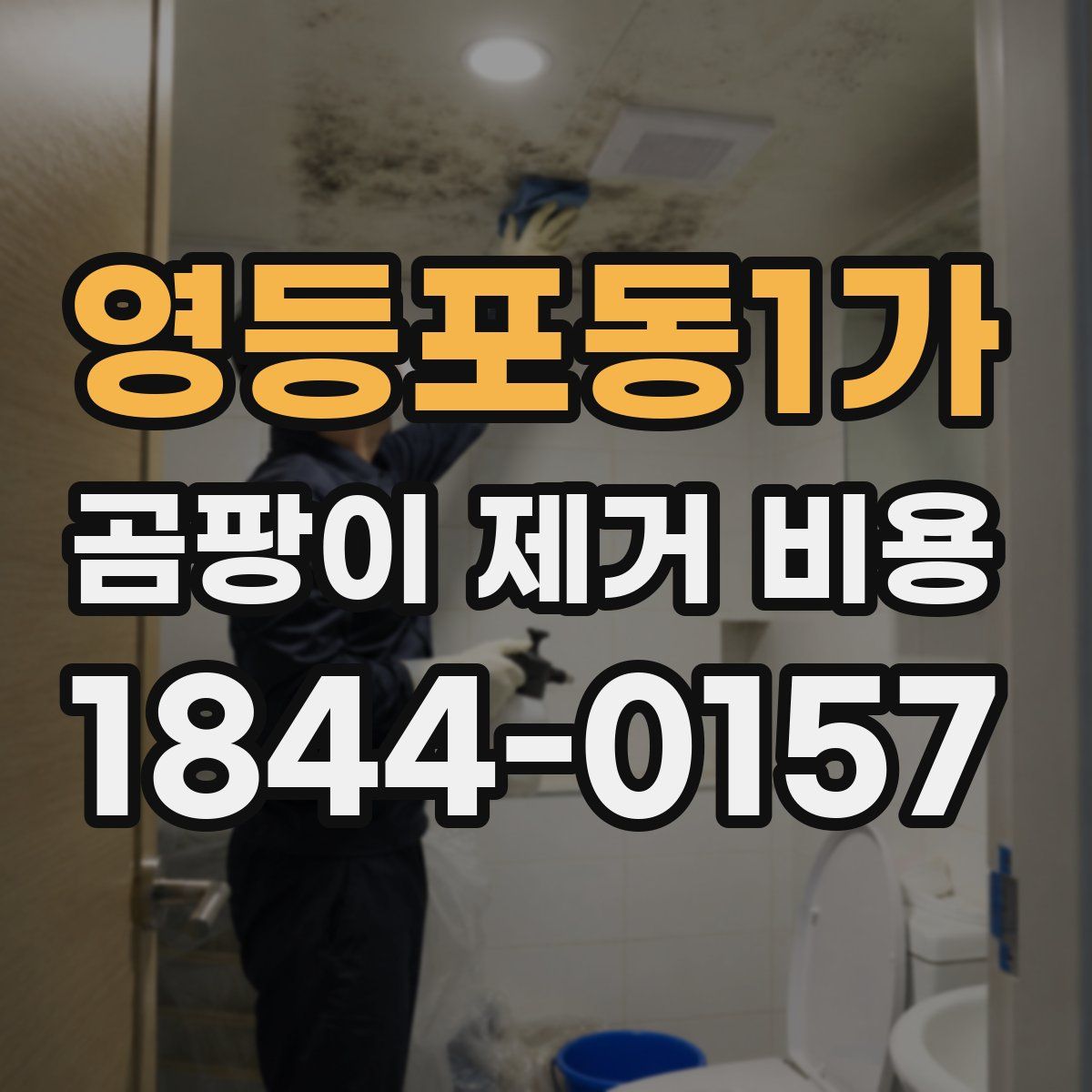 영등포동1가 곰팡이 제거 비용