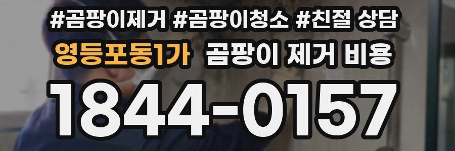 영등포동1가 곰팡이 제거 비용