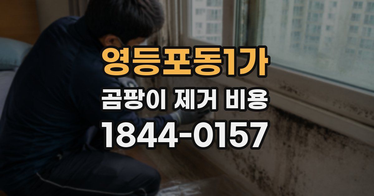 영등포동1가 곰팡이 제거 비용