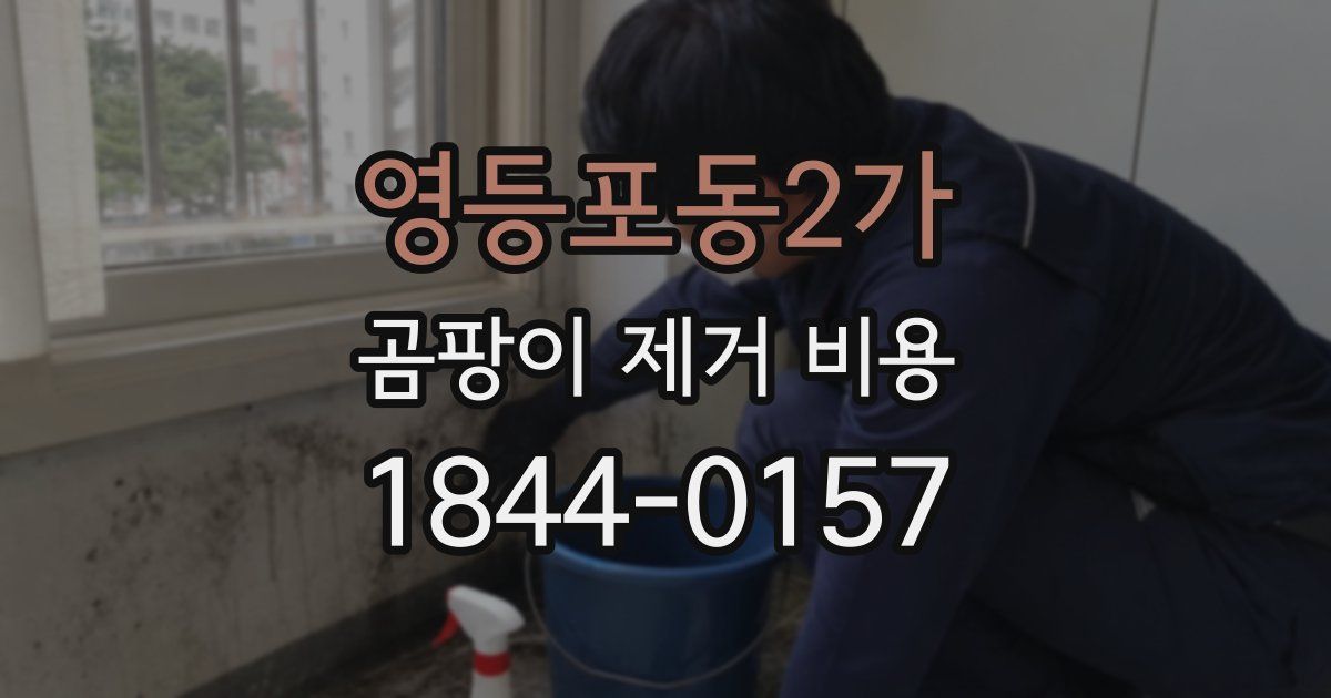 영등포동2가 곰팡이 제거 비용