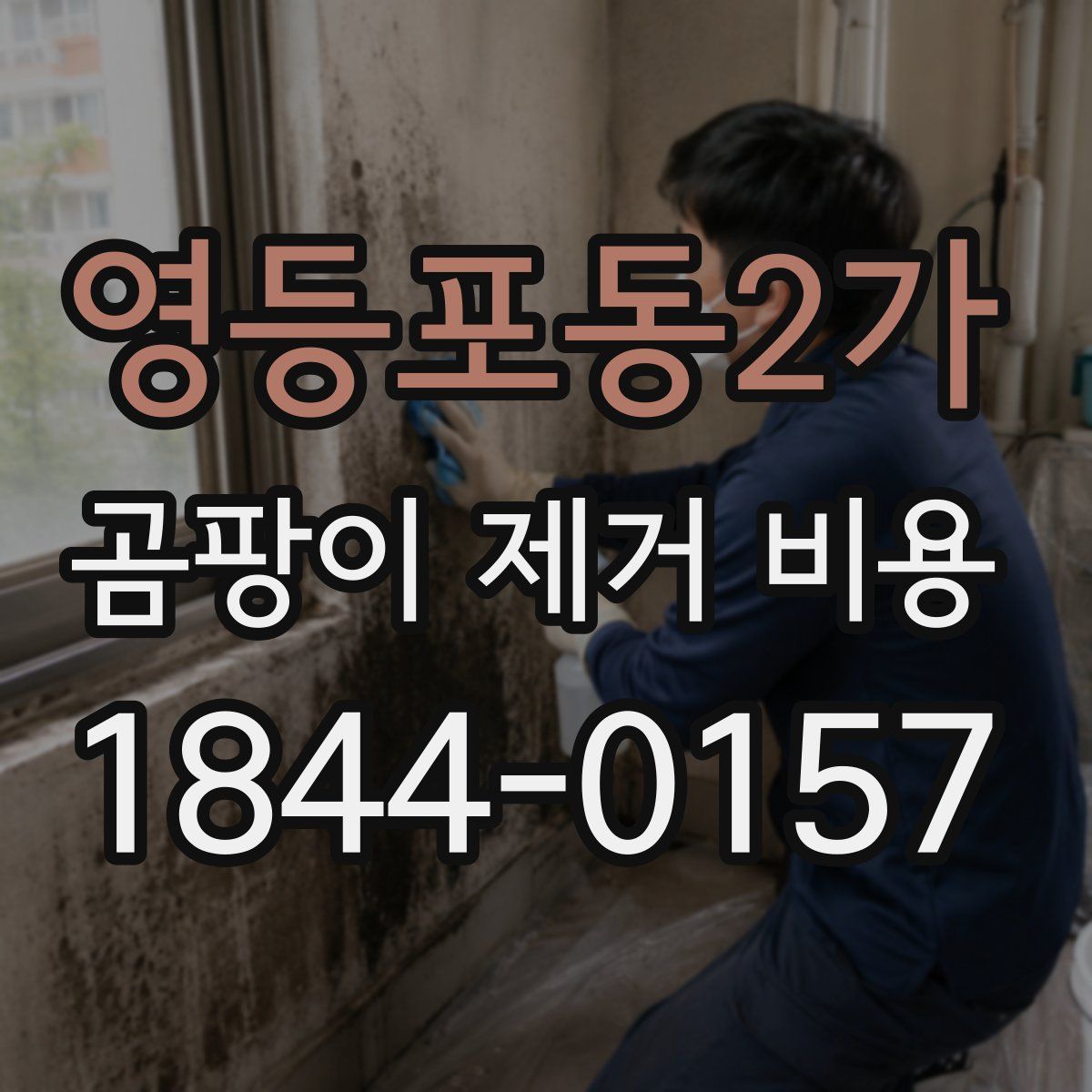 영등포동2가 곰팡이 제거 비용