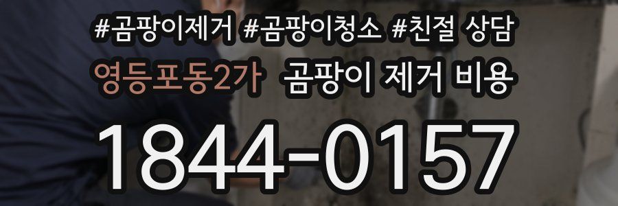 영등포동2가 곰팡이 제거 비용