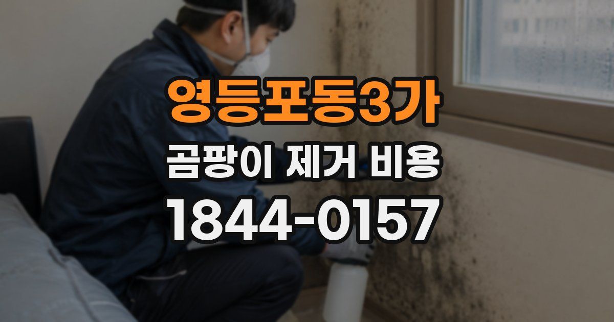 영등포동3가 곰팡이 제거 비용