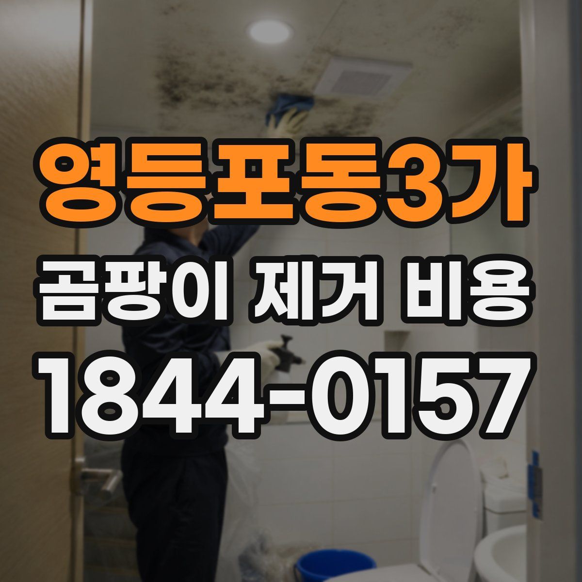 영등포동3가 곰팡이 제거 비용
