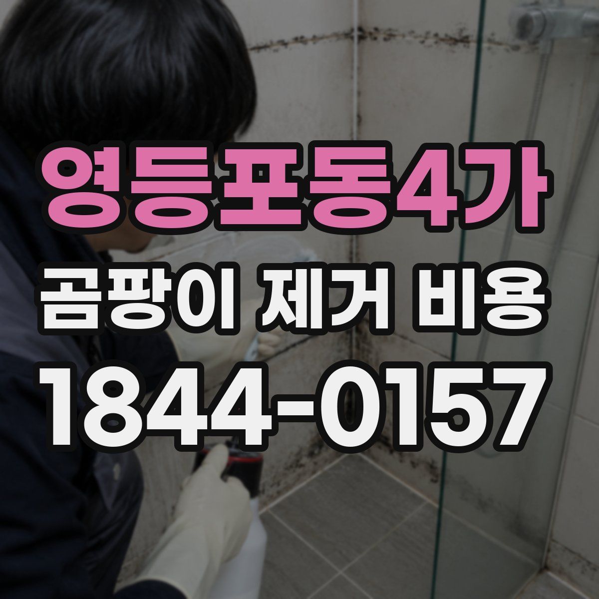 영등포동4가 곰팡이 제거 비용