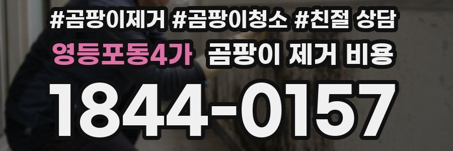 영등포동4가 곰팡이 제거 비용
